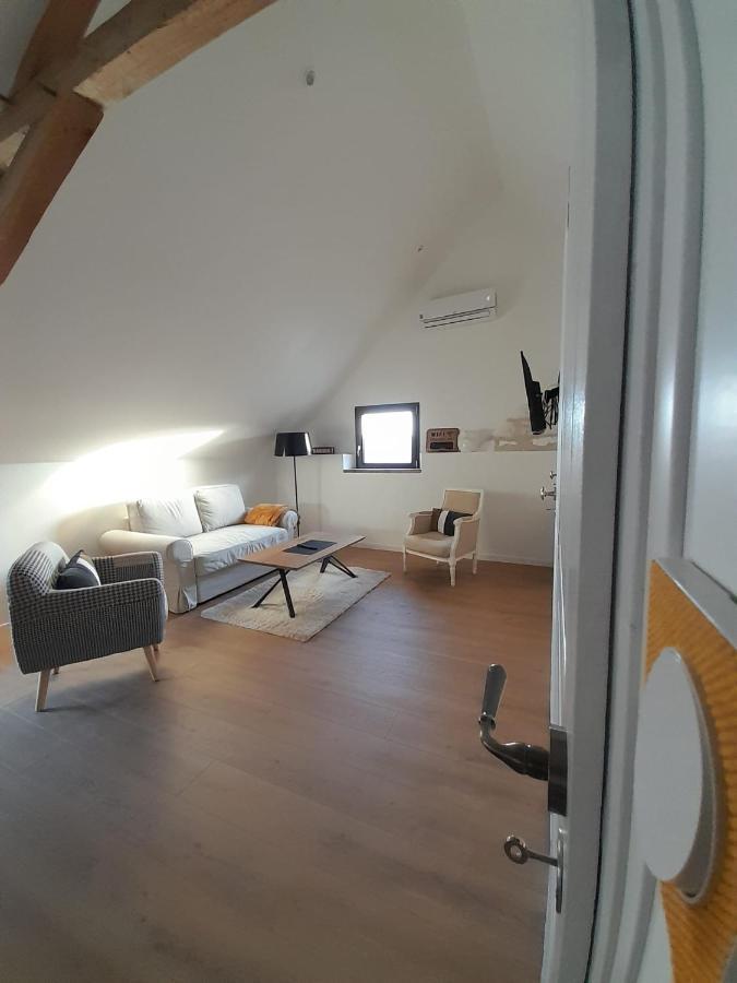 Le Repaire De Bacchus Apartment Saint-Nicolas-de-Bourgueil Exterior foto